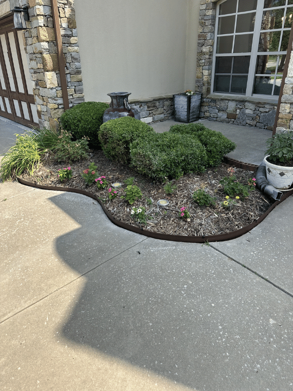 Before Garden Bed Cleanup