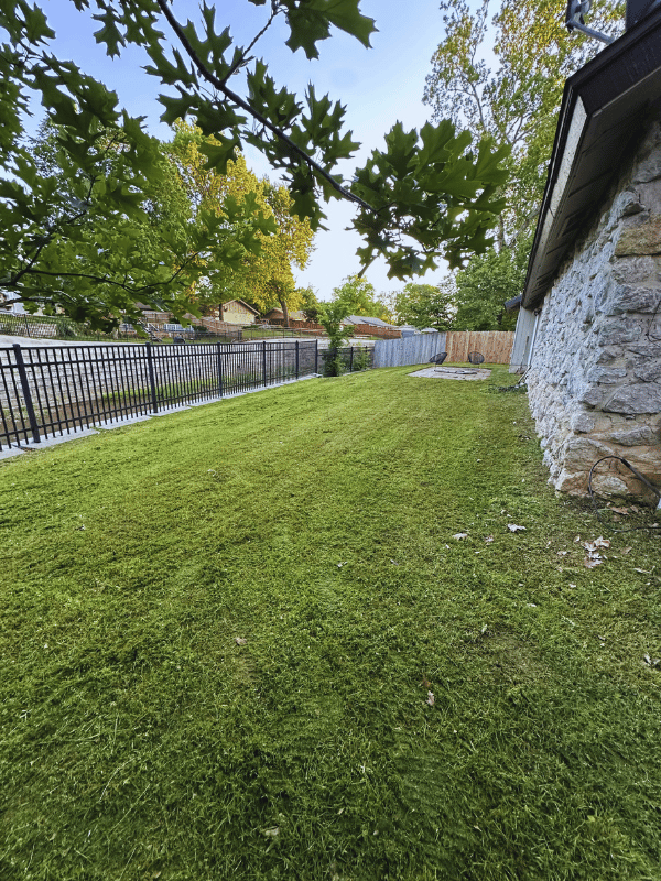 After Lawn Cut
