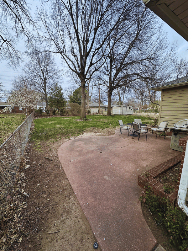 After Leaf Cleanup